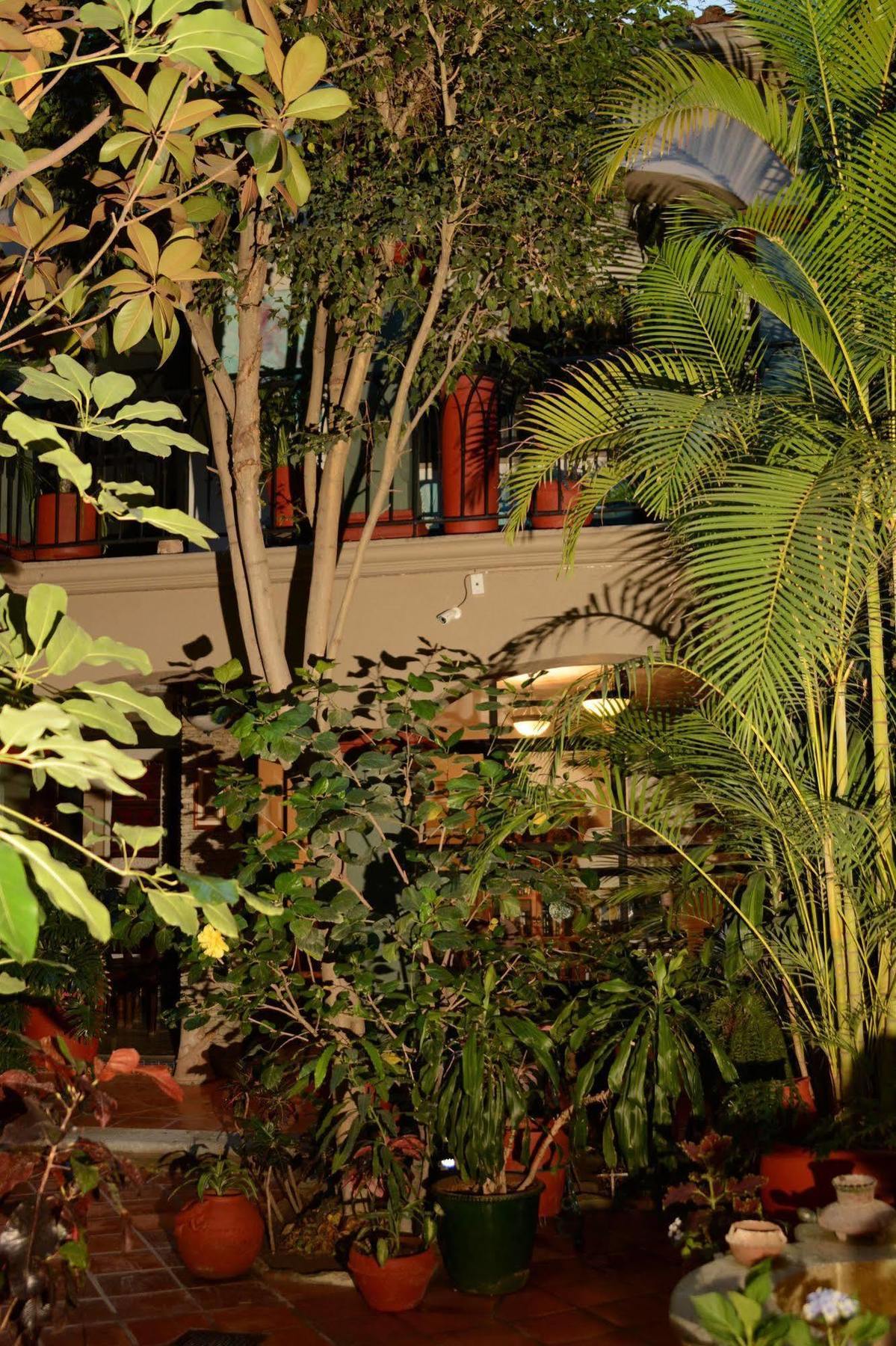 Hotel Casa Guiva Oaxaca Kültér fotó